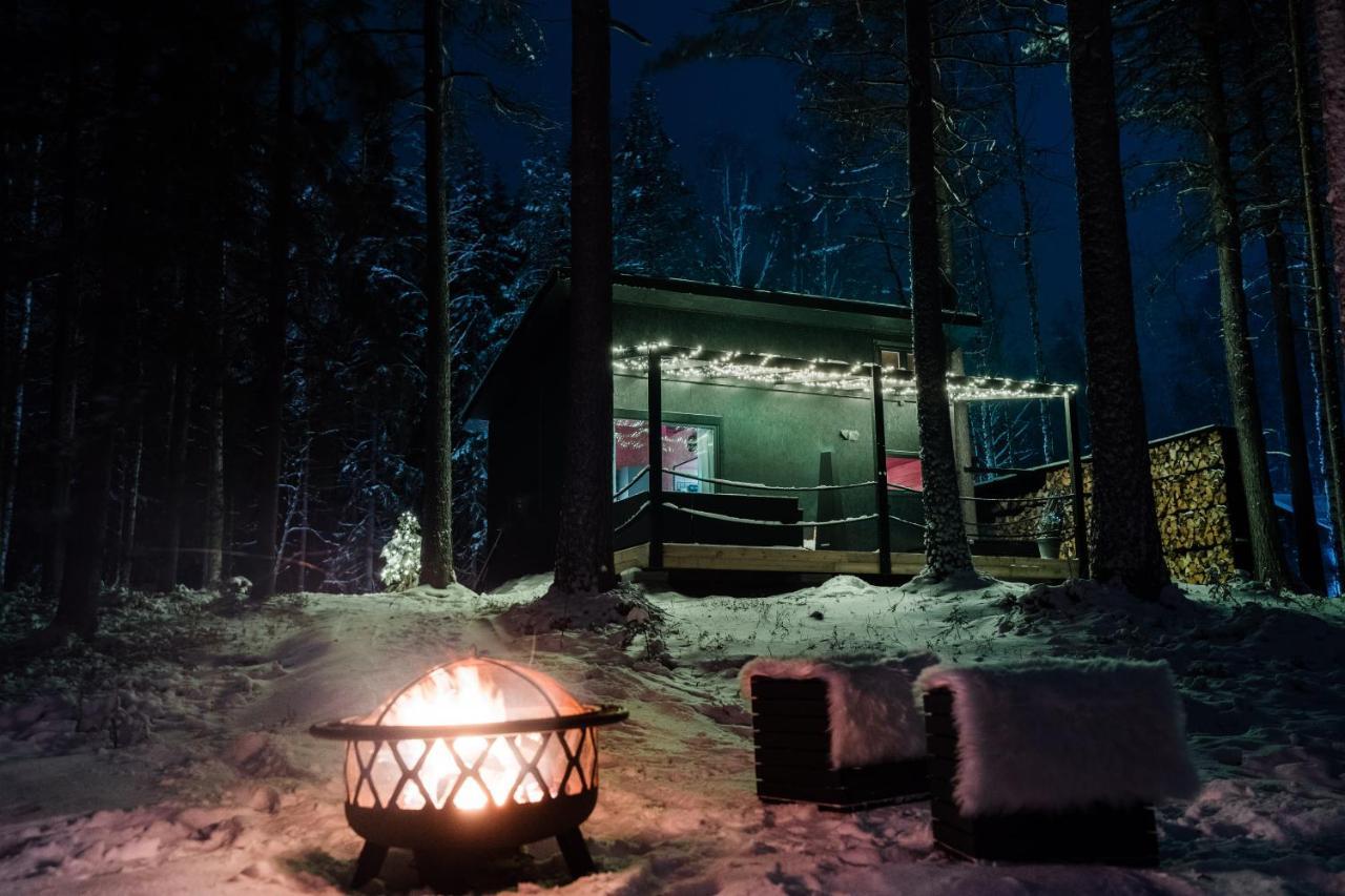 Ternu Minivilla Rovaniemi Kültér fotó