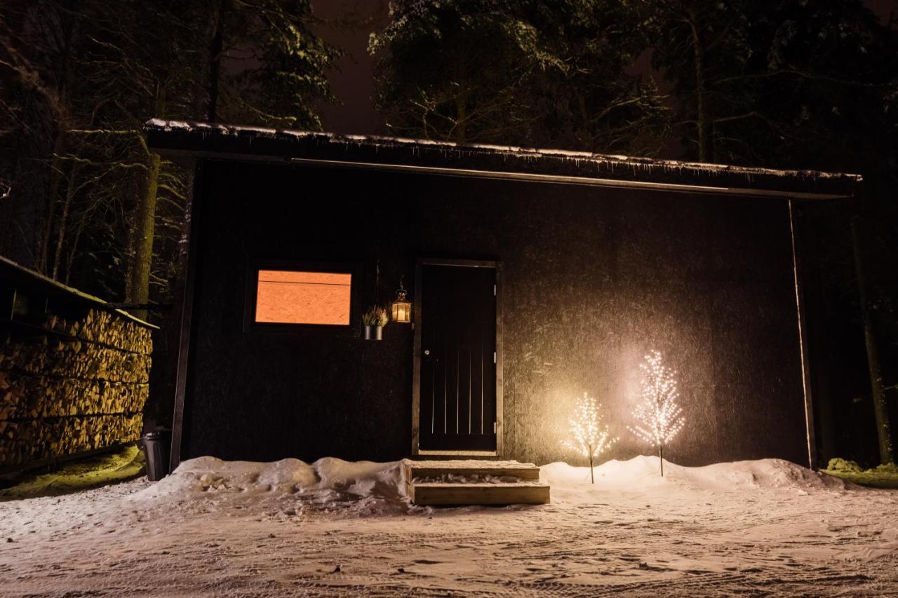 Ternu Minivilla Rovaniemi Kültér fotó